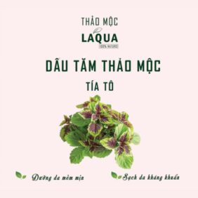 dau-tam-thao-moc