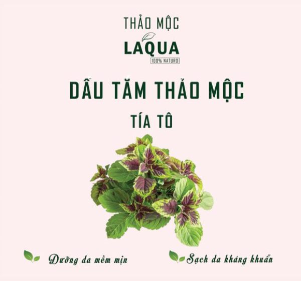 dau-tam-thao-moc