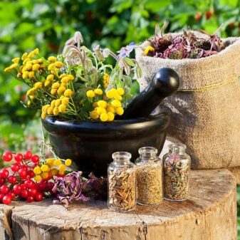 thao-duoc-thien-nhien (1)